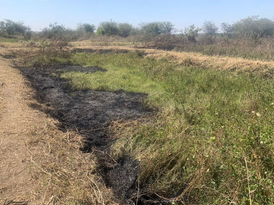 Rehabilitation of 10 Fishing Ponds project work in Central River Region